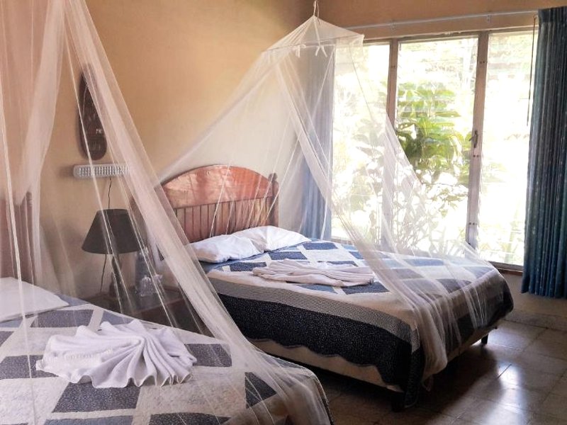 Hotel Tikal Innの写真