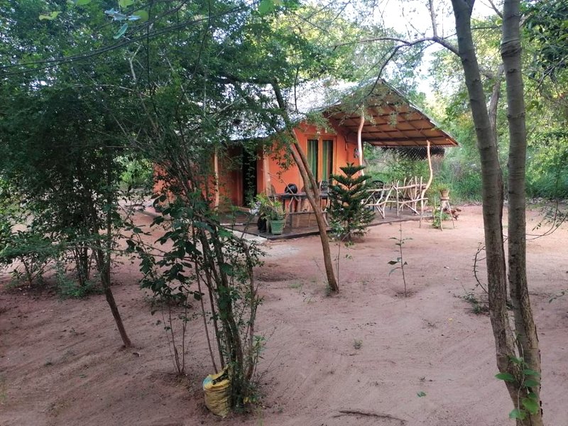 කැලෑව Jungle Eco Resortの写真