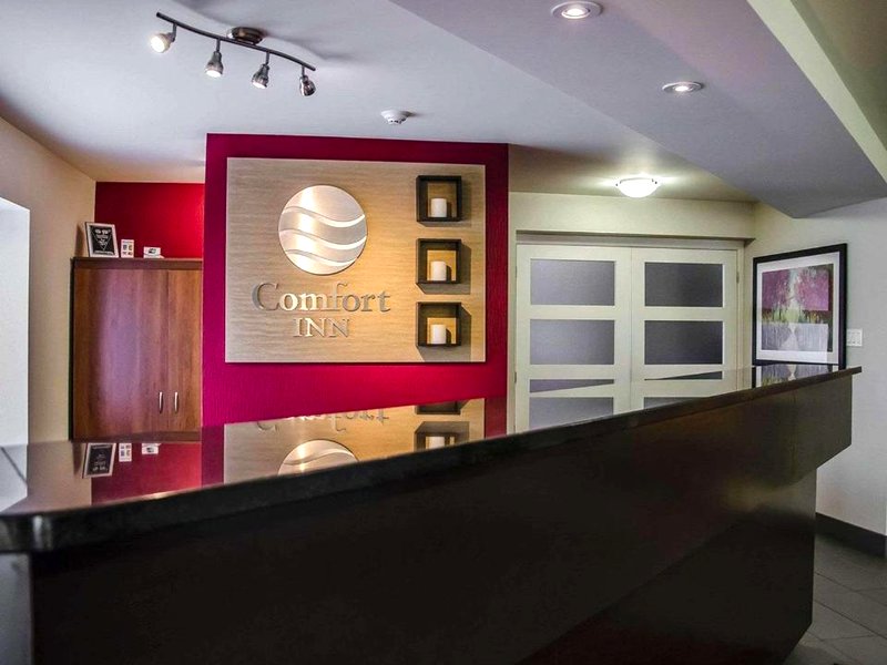 コンフォート イン サウス ショアー (Comfort Inn South Shore)の写真