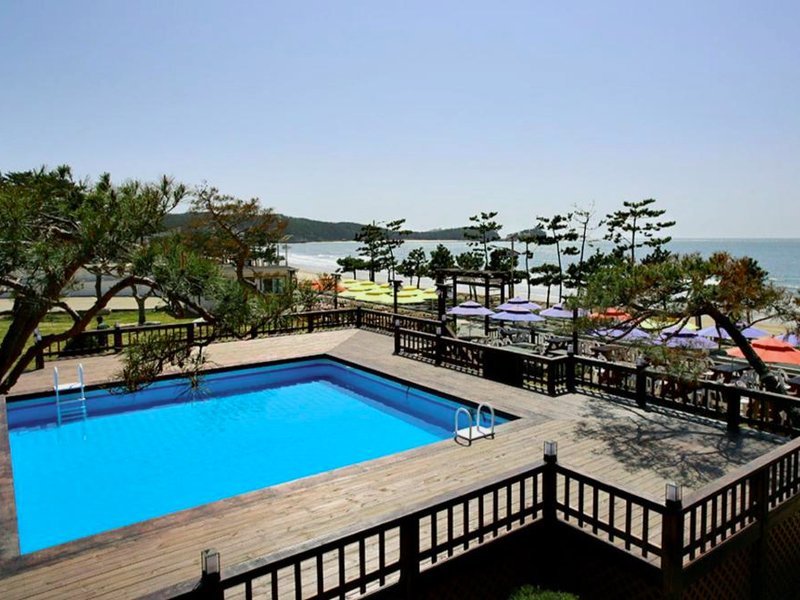 ホテル マリポ (Hotel Mallipo)の写真