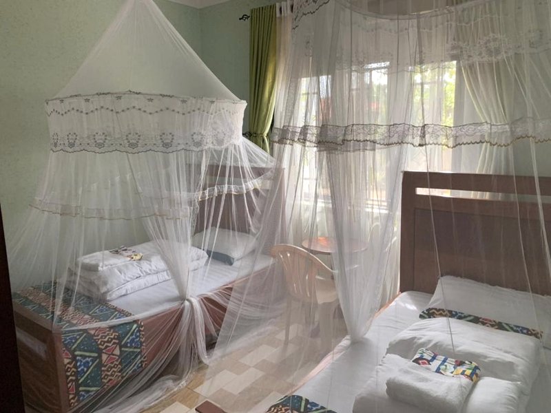 House of Lightの写真