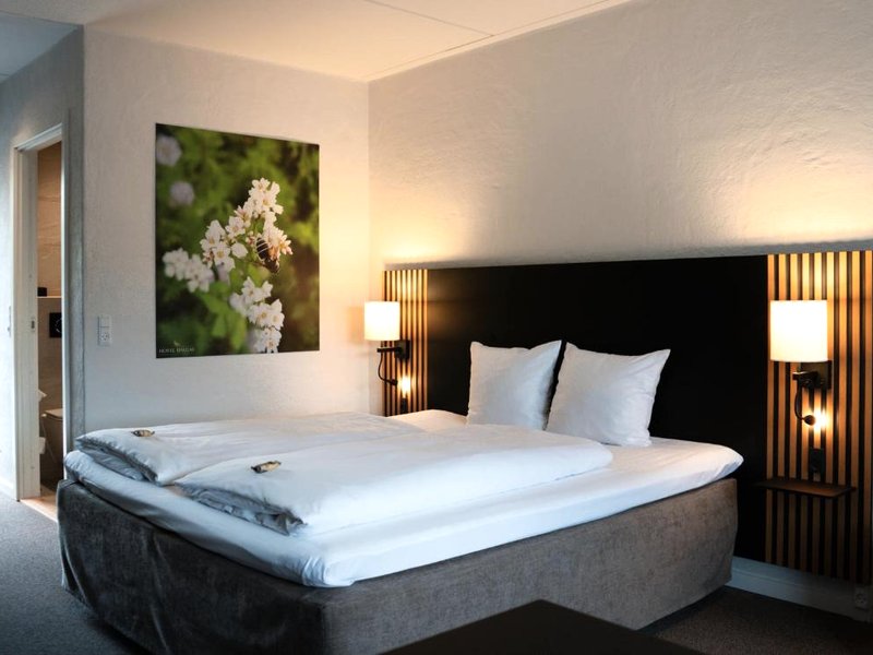 Hotel Dalgasの写真