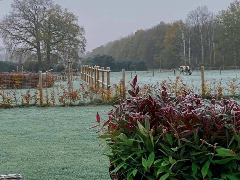 b&b Meilrijkの写真