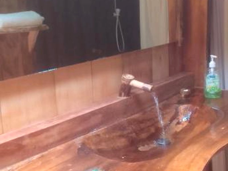 Natty Tropical Valleyの写真