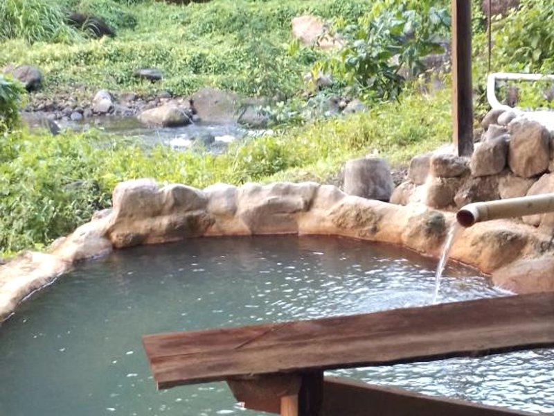 Natty Tropical Valleyの写真