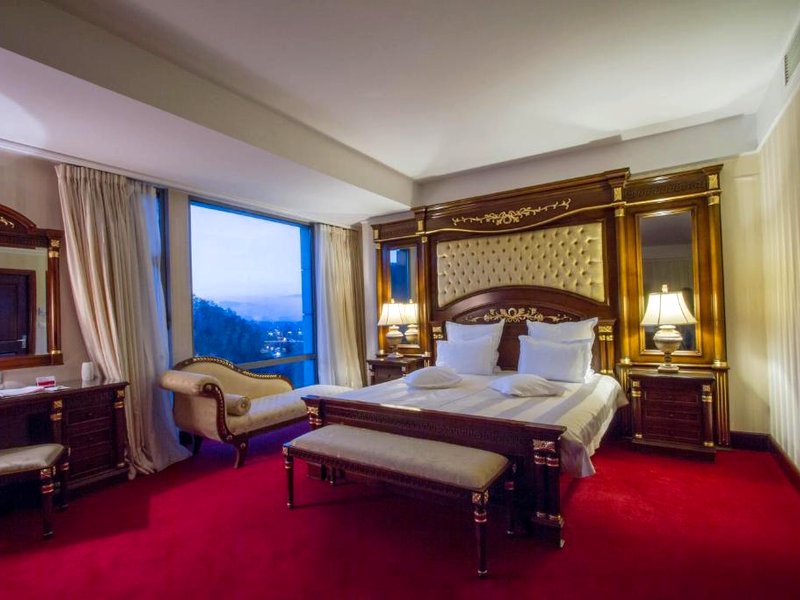 Hotel HP Tower One Brasovの写真