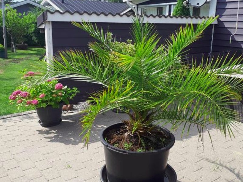 Gæstehus Stillinge Strandの写真