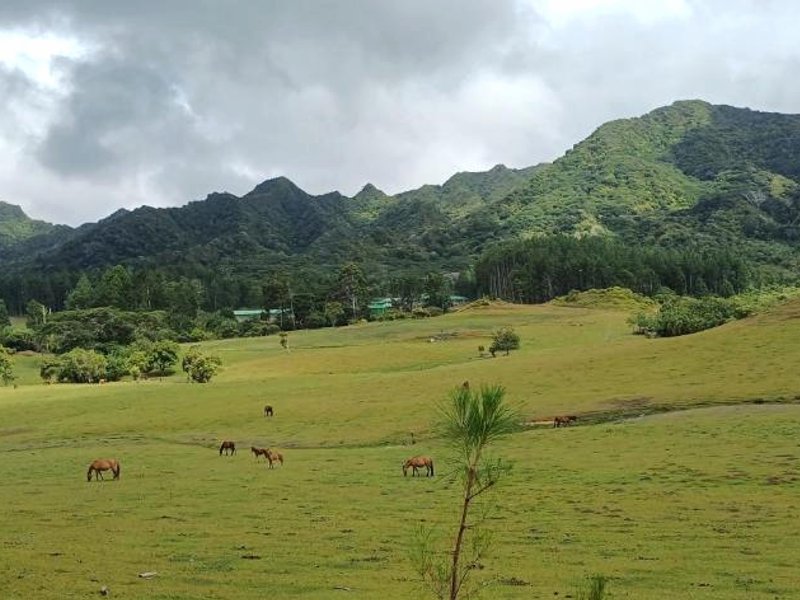 Nuku Hiva Pitake Lodgeの写真