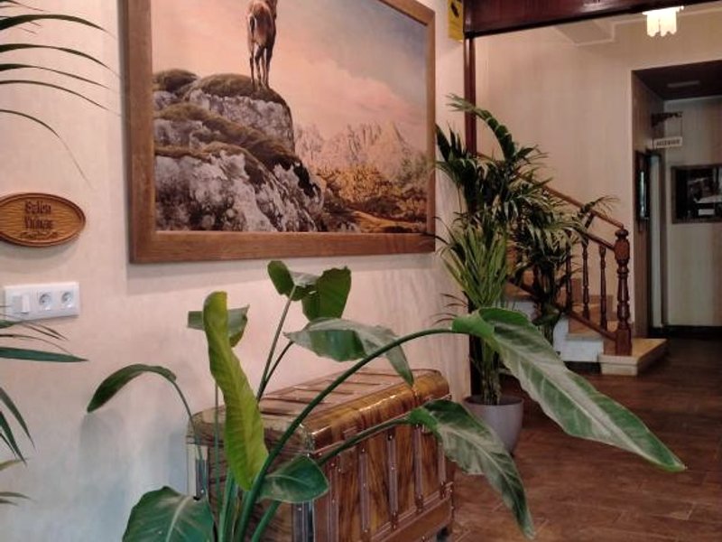 エーデルワイス ホテル (Edelweiss Hotel)の写真