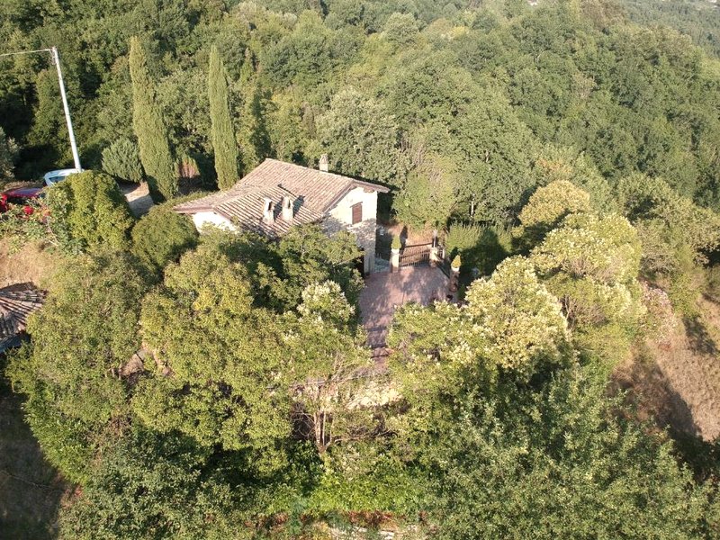 IL Casalettoの写真