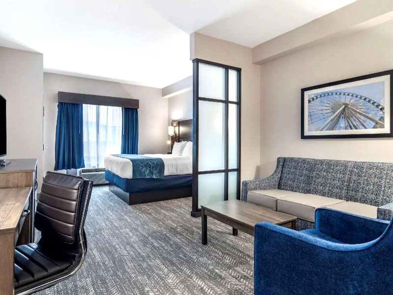 コンフォート スイーツ マックダノー アトランタ サウス (Comfort Suites McDonough Atlanta South)の写真