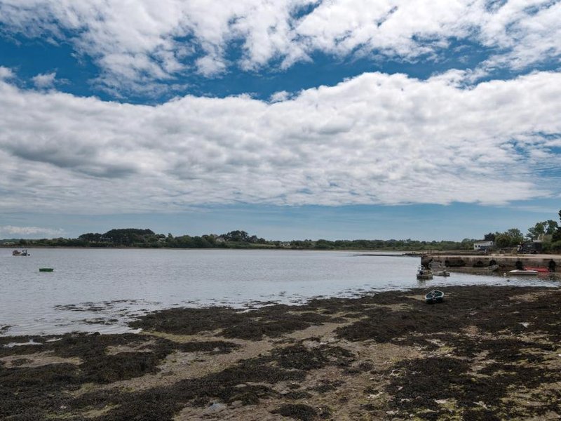 Sarzeau centre - Le Cormoranの写真