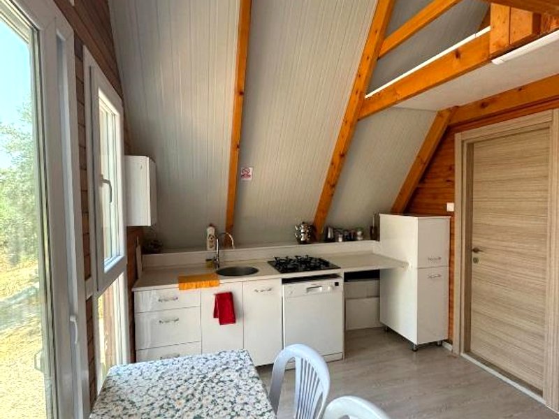 Bungalow-8 in Karaburun Boyabağ Bay (Bungalow-8 in Karaburun Boyabag Bay)の写真