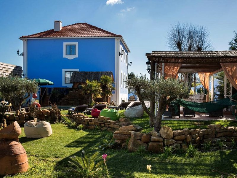 NINHO SALOIOの写真