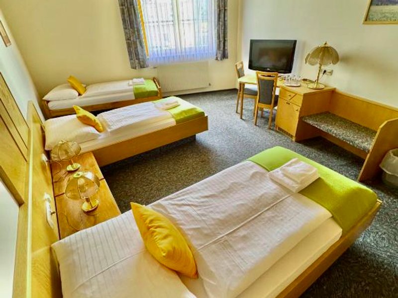 Hotel die Traubeの写真