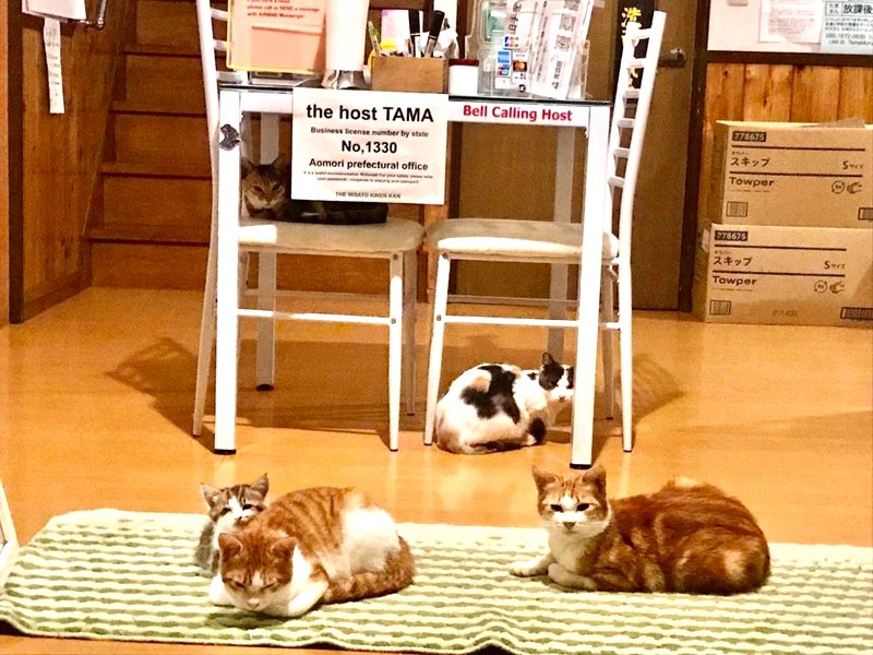 Misato Memorial Hall - Vacation STAY 61405vの写真