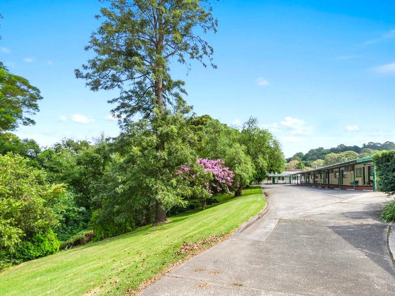 Solomon Inn Motel Figtreeの写真